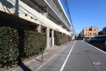 敷地南側の前面道路(西側から)