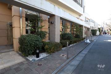 敷地北側の前面道路（東側から)