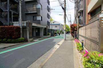 敷地南側の前面道路　
