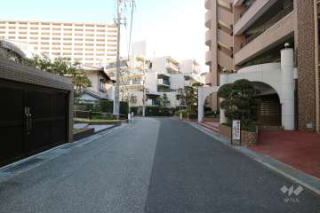 敷地北側の前面道路