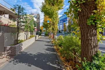 敷地南東側の前面道路（南西側から）