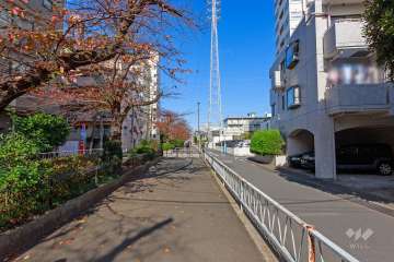 敷地の西側の前面道路
