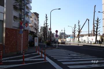 敷地北側の前面道路(東側から)