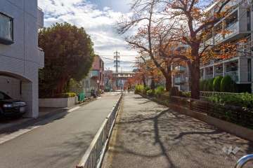 敷地西側の前面道路（北側から）