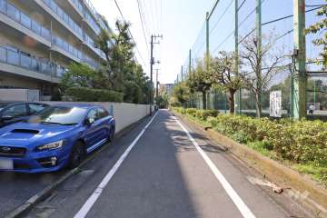 敷地西側の前面道路(北側から)