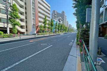 敷地南東側の前面道路