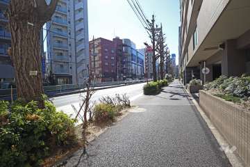 敷地南東側の前面道路（北東側から）