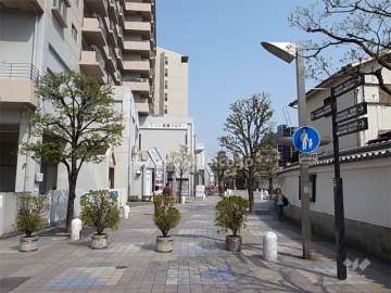 前面道路は風情のある街並みです。