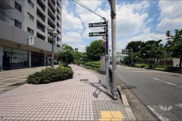 敷地南側の前面道路（西側から）