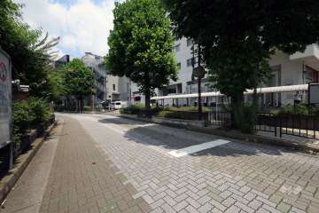 敷地西側の前面道路（南側から）