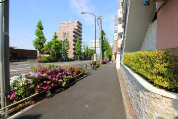 敷地北側の前面道路（西側から）