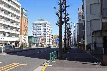 敷地北側の前面道路（目黒通り）