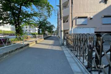 敷地東側の前面道路（北側から）