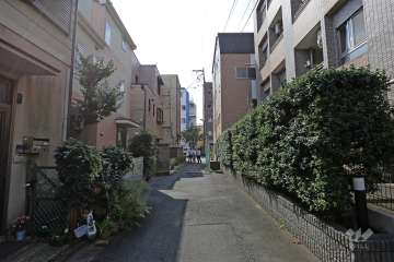 敷地南東側の前面道路（北東側から）