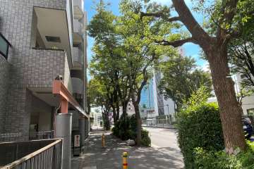 敷地南西側の前面道路（北西側から）