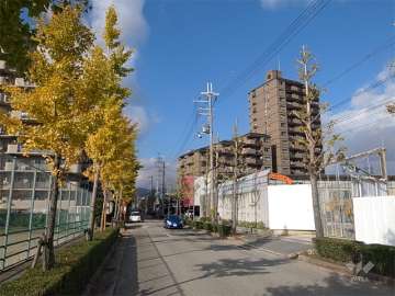 敷地の西側前面道路は街路樹のきれいな通りです。