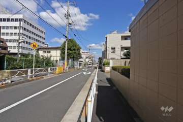 敷地北側の前面道路（西側から）