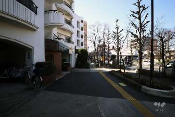 敷地北西側の前面道路(南西側から)