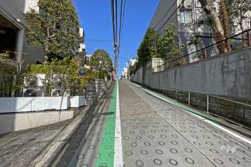 敷地南東側の前面道路（南西側から）