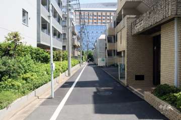 敷地南側の前面道路(西側から)