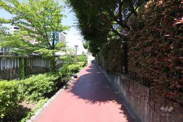 敷地南西側の前面通路