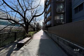 敷地の北東側前面道路（北西側から）