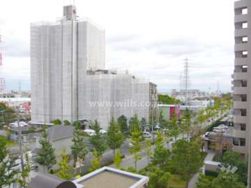 目の前の通りは街路樹がキレイです。