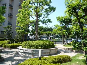 敷地内は緑豊かです。