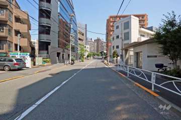 敷地西側の前面道路は柳通りです(南側から)。
