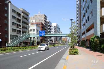 敷地北西側の前面道路(南西側から)