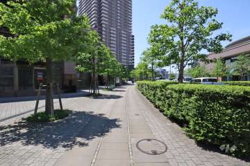 敷地北西側の前面道路(南西側から)