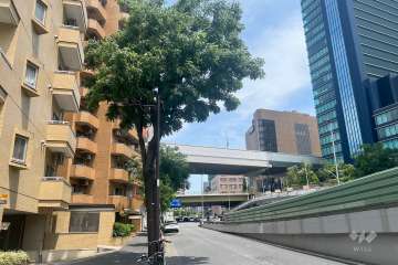 敷地東側の前面道路