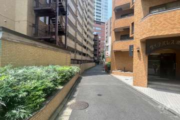 敷地北側の前面道路