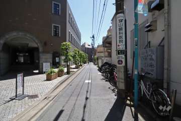 敷地南側の前面道路(西側から)