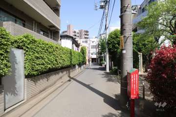敷地南側の前面道路(西側から)
