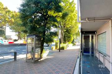 敷地東側の前面道路（北側から）