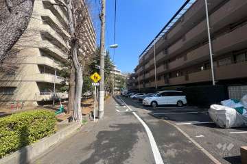 敷地西側の前面道路(南側から)