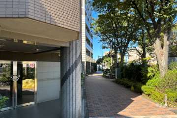 敷地の北東側前面道路（南東側から）