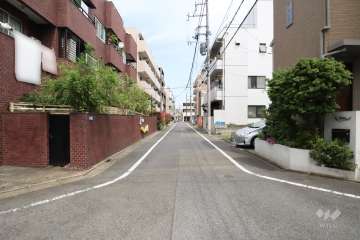 敷地南側の前面道路(西側から)