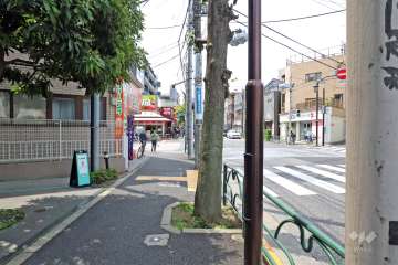 敷地北側の前面道路は駒沢通りです（東側から)。