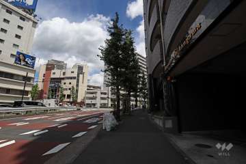 敷地北側の前面道路（北西側から）