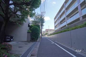 敷地西側の前面道路（北側から）
