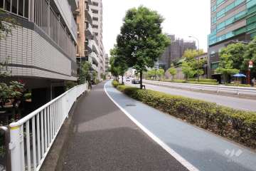 敷地東側の前面道路(南側から)