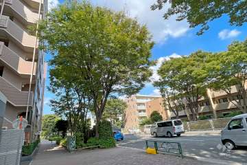 敷地北東側の前面道路（南東側から）