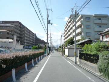 敷地南側の前面道路。周辺は住宅の他、田畑も残り、のどかな雰囲気です。