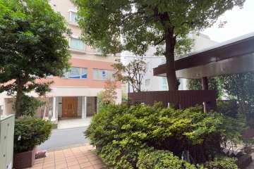 敷地内の各所に植栽スペースが設けられています。