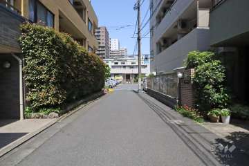 敷地北東側の前面道路(南東側から)