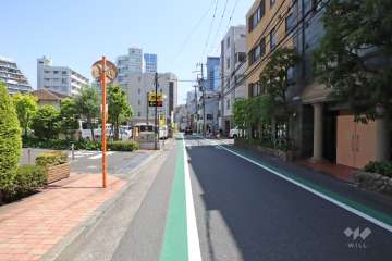 敷地北西側の前面道路(南西側から)