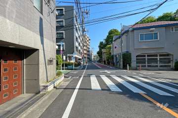 敷地西側の前面道路（北側から）