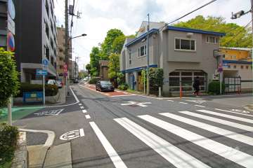 敷地西側の前面道路（北側から）